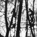 January 5, 1975: Skaters are silhouetted in the trees for their hockey game on Memorial Pond in Walpole.
